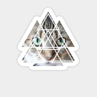 Cat Lover Cute Cat Face Geometric Triangles Sacred Geometry Sticker